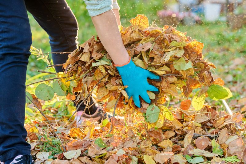 Leaf Removal Services