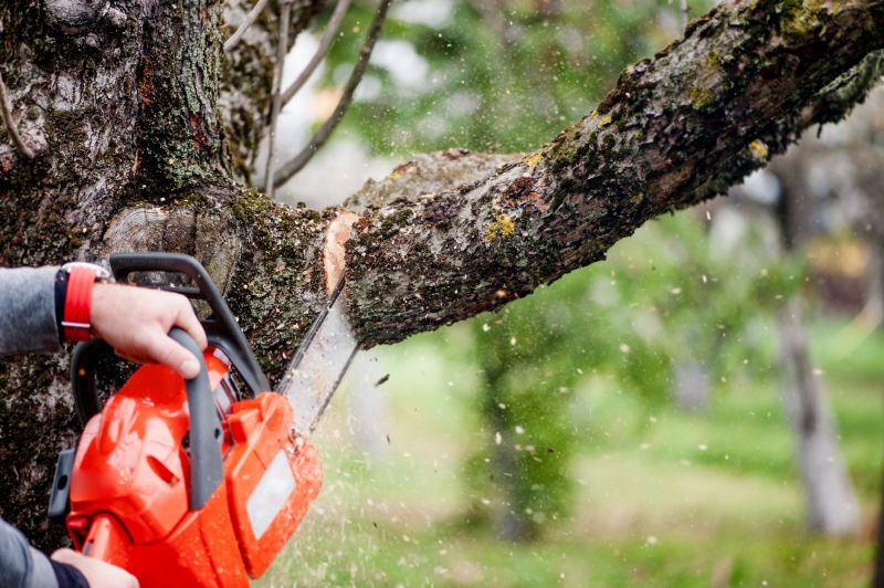 Tree Branch Cutting
