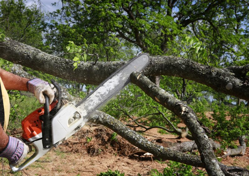 Cost of Tree Branch Cutting in Mooresville, NC
