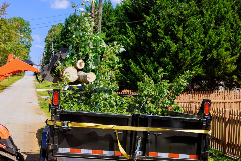 Cost of Tree Limbs Removal in Mooresville, NC