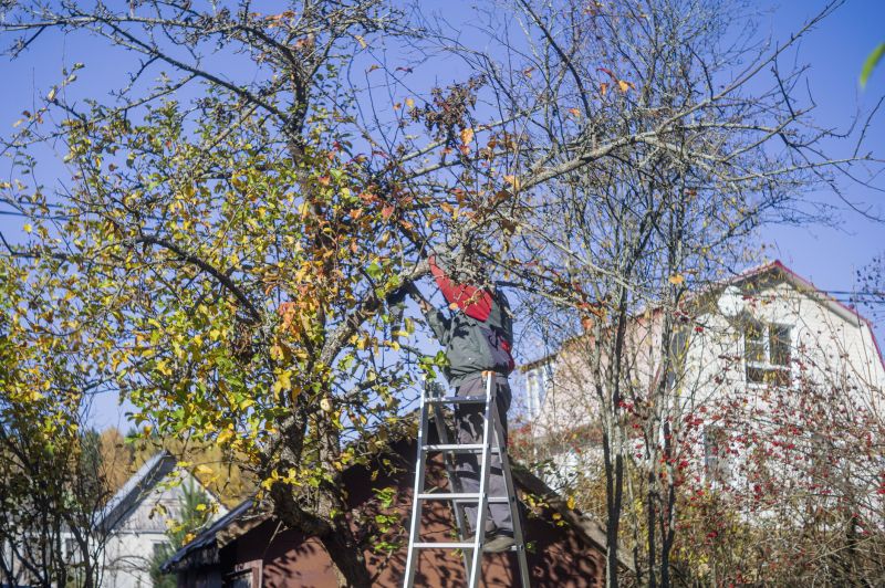 Cost of Tree Maintenance Service in Mooresville, NC