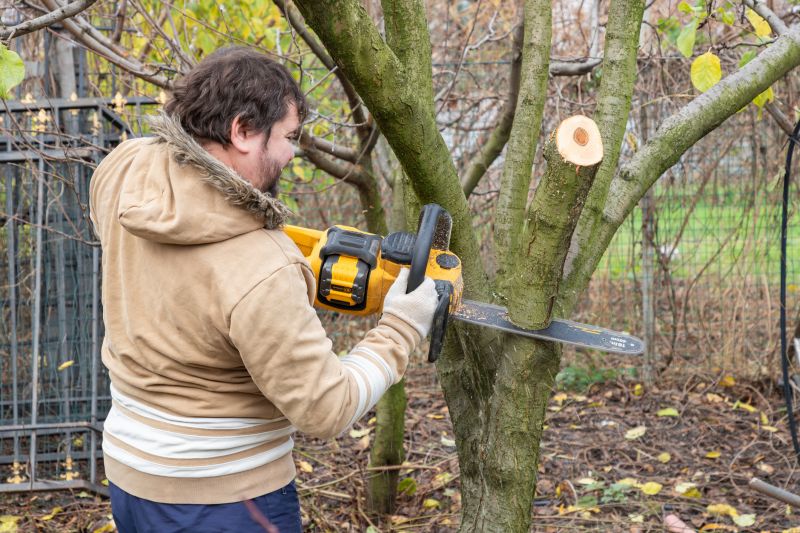 Cost of Tree Service in Mooresville, NC