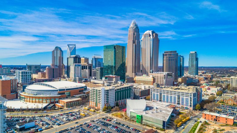 Tree Shearing in Charlotte, NC