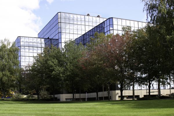 Commercial Tree Trimming in Mooresville