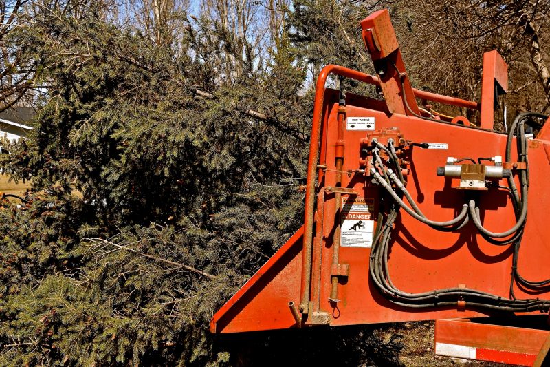Tree Trimming