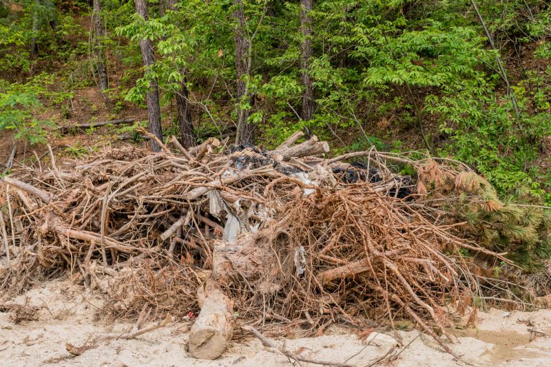 Deadwood Removal