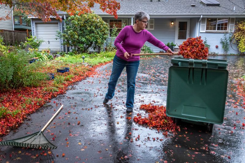 Leaf Cleanup at Property Edges