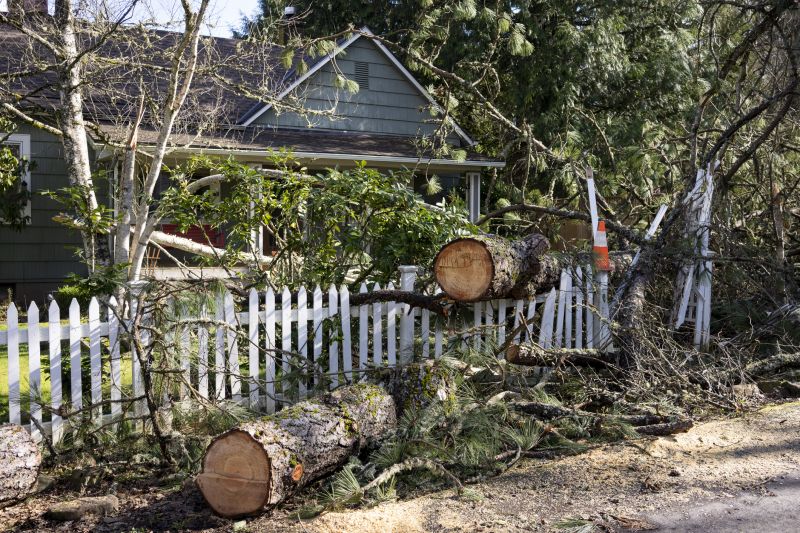 Tree Blocking a Commercial Entrance