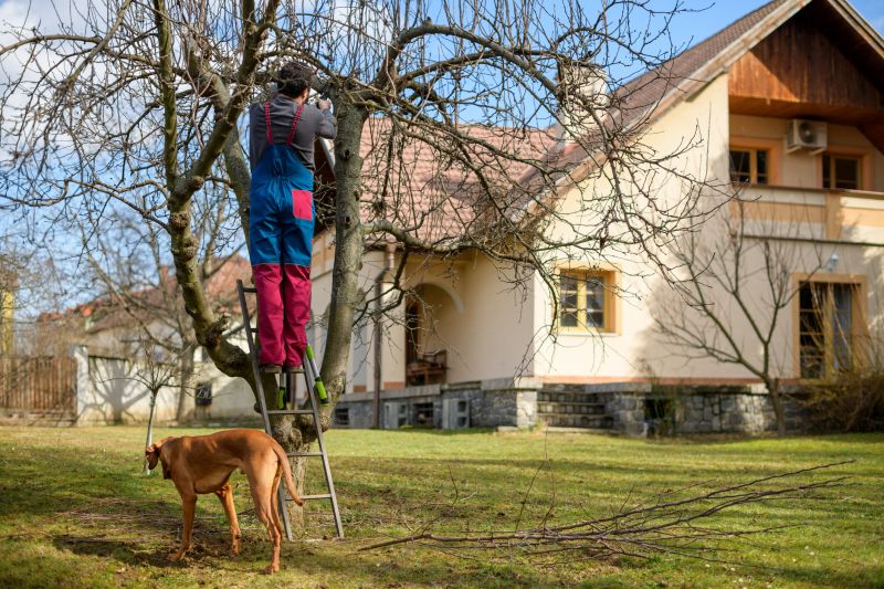 Residential Tree Service detail