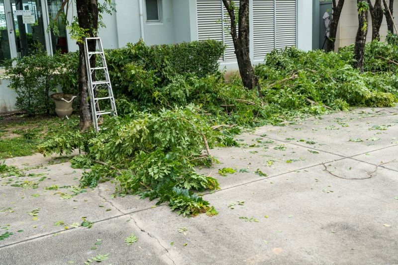 Tree Pruning detail