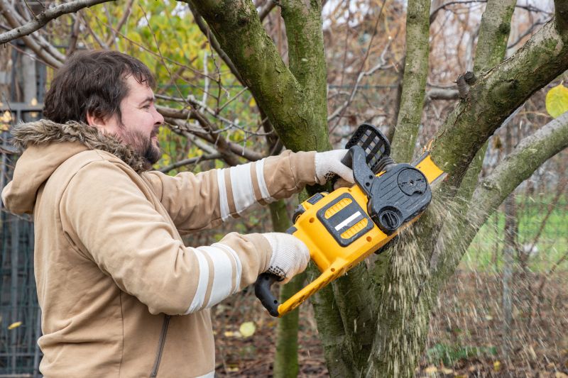 Products For Tree Trimmings in use