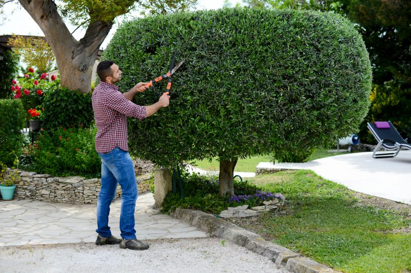Tree Shearing