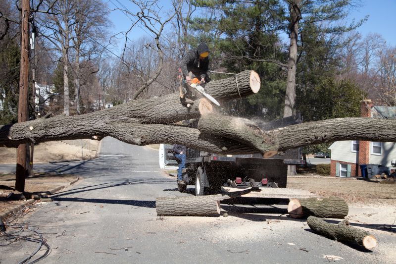 Deadwood Removal