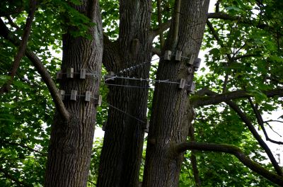 Cabling and Bracing