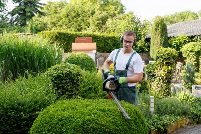 Healthy Tree Trimming